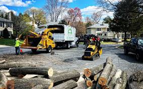 Best Tree and Shrub Care  in Paden City, WV